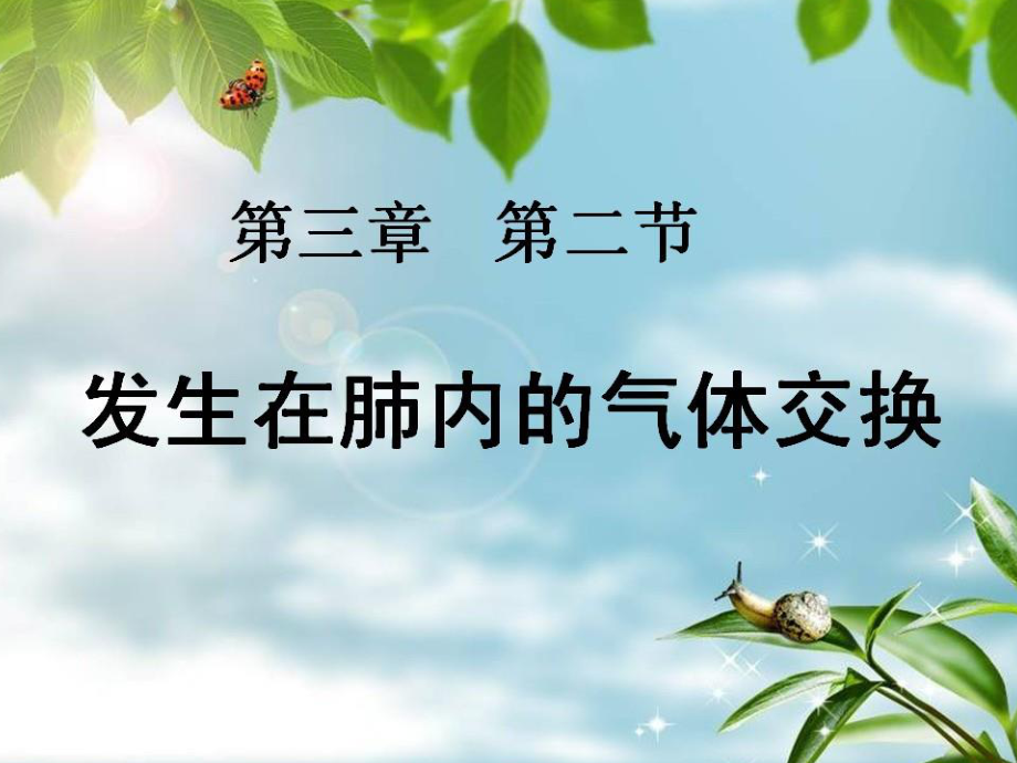 发生在肺内的气体交换PPT).ppt_第2页