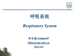 呼吸系统组织学20115.ppt