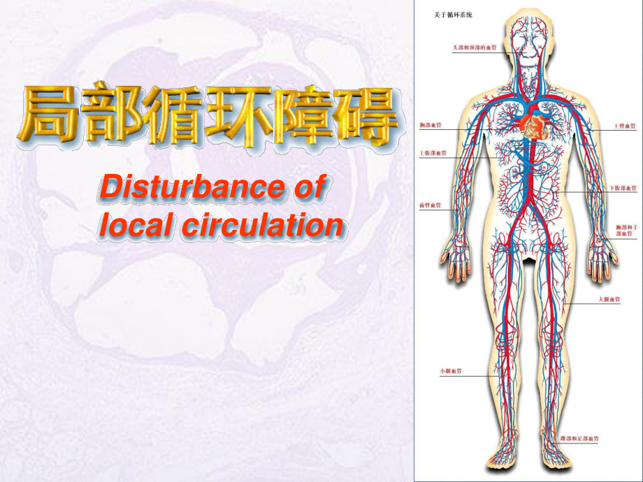 局循障碍-1.ppt_第1页