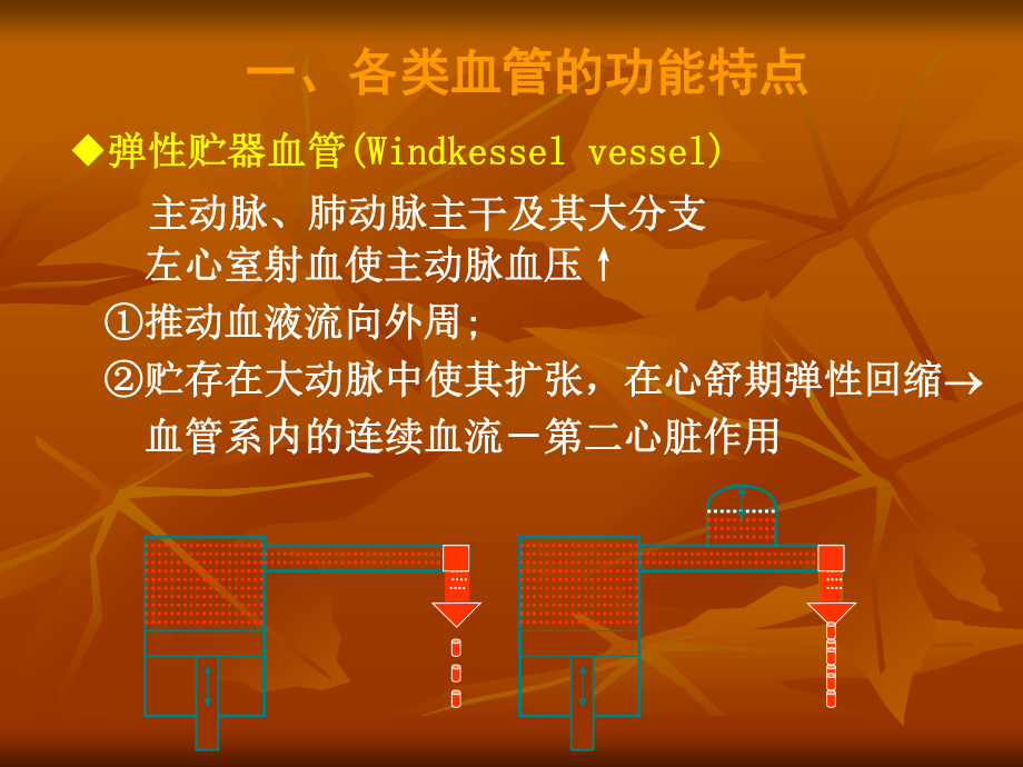 生理血液循环5(完整).ppt_第3页