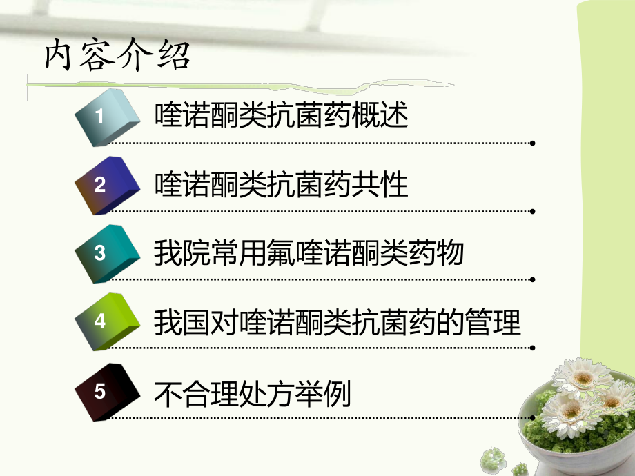 喹诺酮类抗菌药2013-4-25(1).ppt_第2页