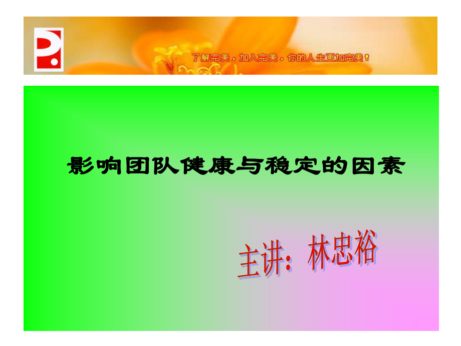 影响团队稳定与健康的因素.ppt_第1页