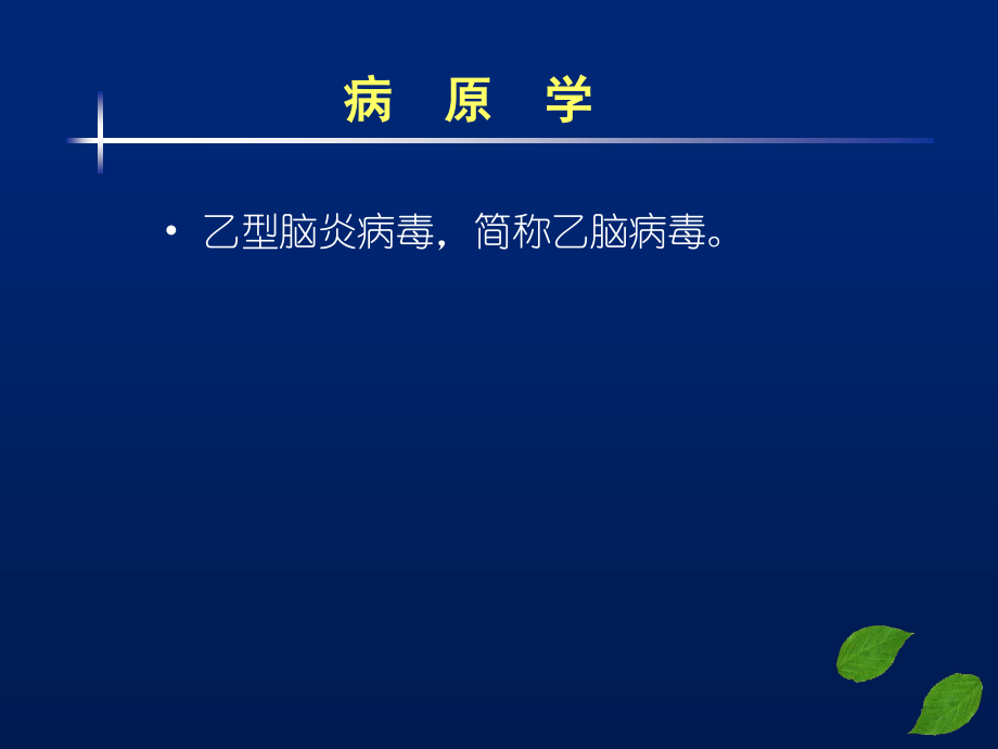 流行性乙型脑炎(全科).ppt_第2页