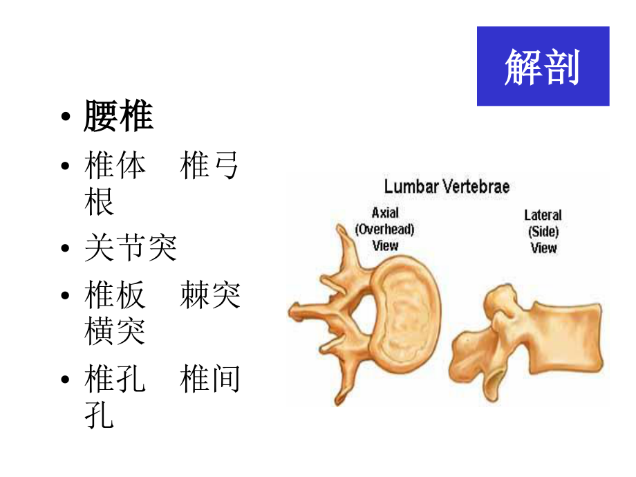 腰腿痛诊治进展.ppt_第3页