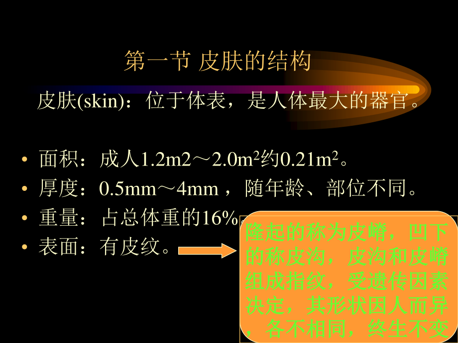 总论-皮肤性病学.ppt_第3页