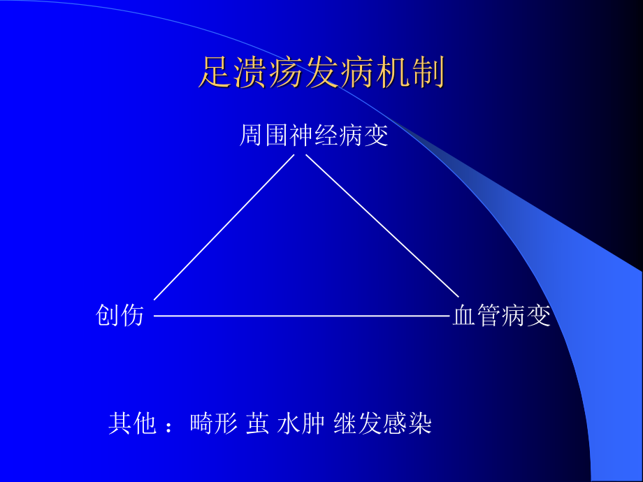 糖尿病足讲座2010-4.ppt_第2页