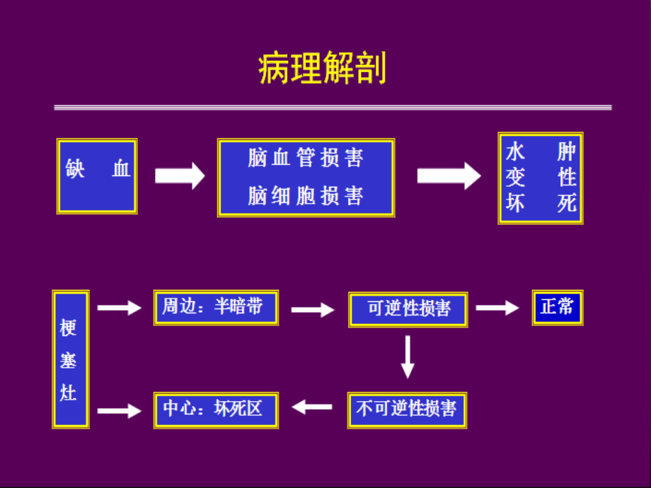 急性缺血性脑卒中诊疗规范.pptx_第3页