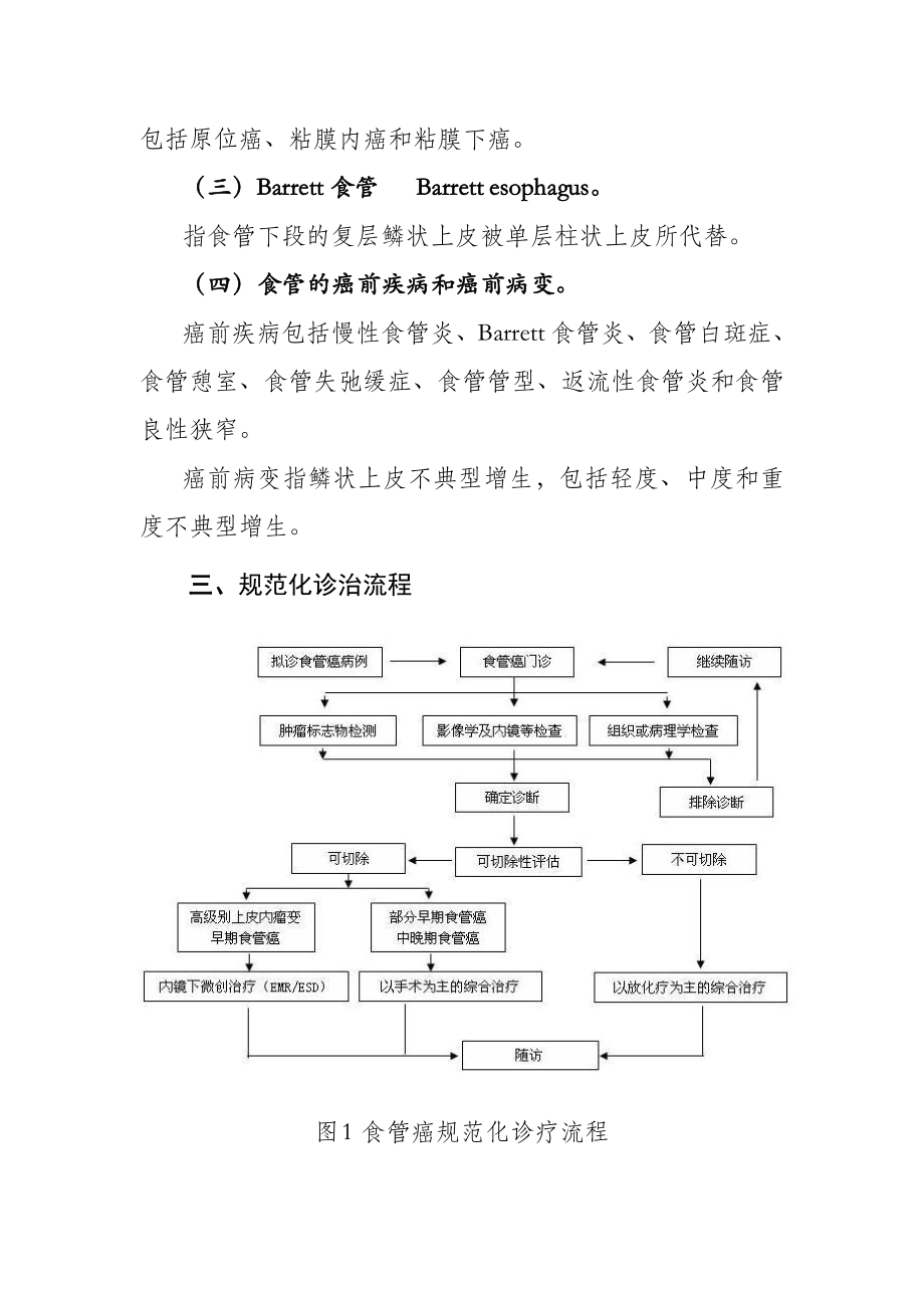 食管癌规范化诊治指南.doc_第2页