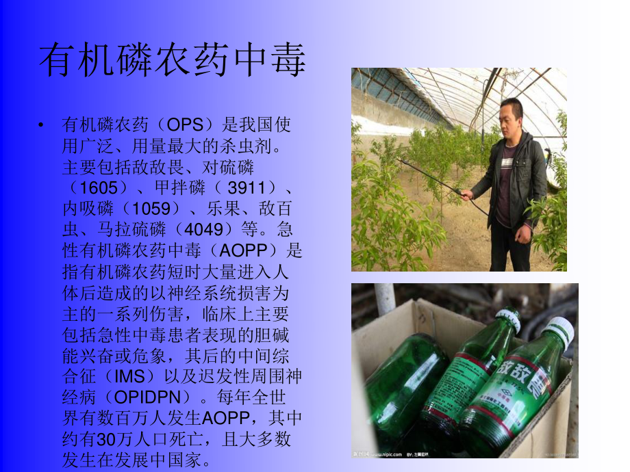 有机磷农药中毒分析.ppt_第2页