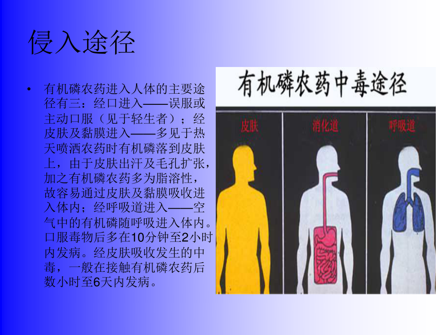 有机磷农药中毒分析.ppt_第3页