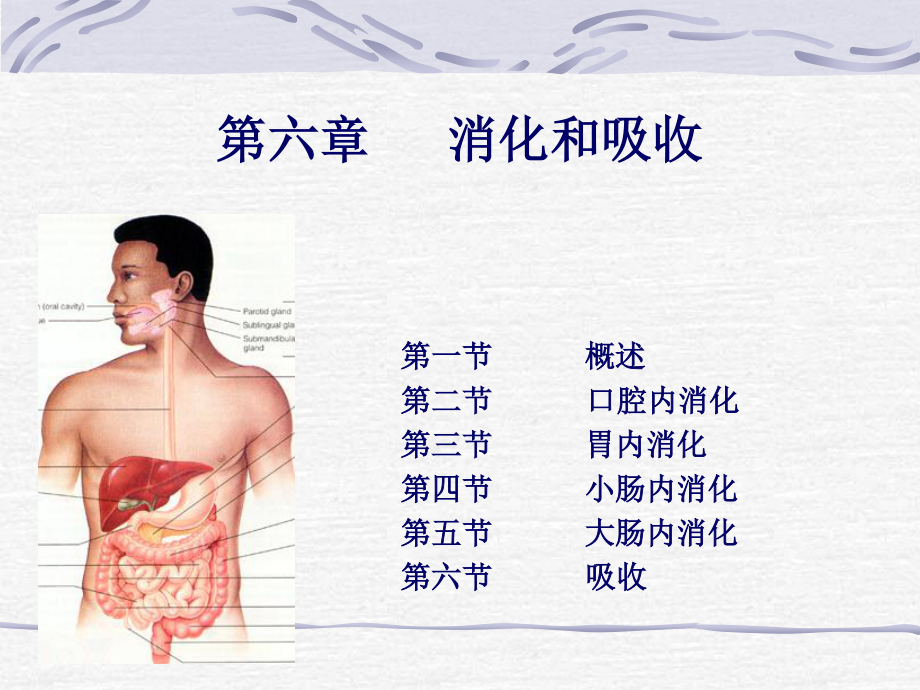 戈-消化和吸收.ppt_第1页