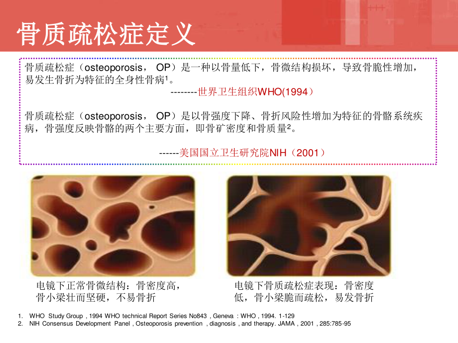 糖尿病和骨质疏松.pdf_第3页