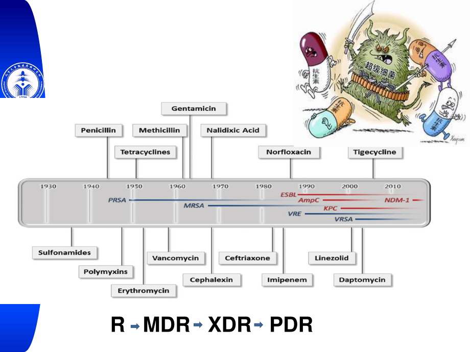 吕媛-细菌耐药十年的变迁.ppt_第2页
