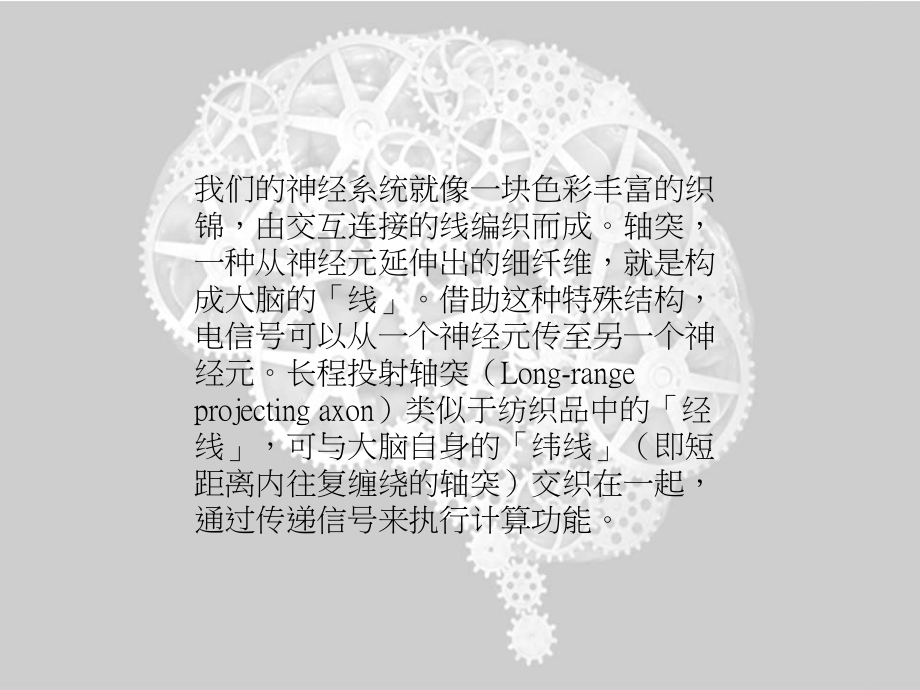 打造透明大脑.ppt_第3页