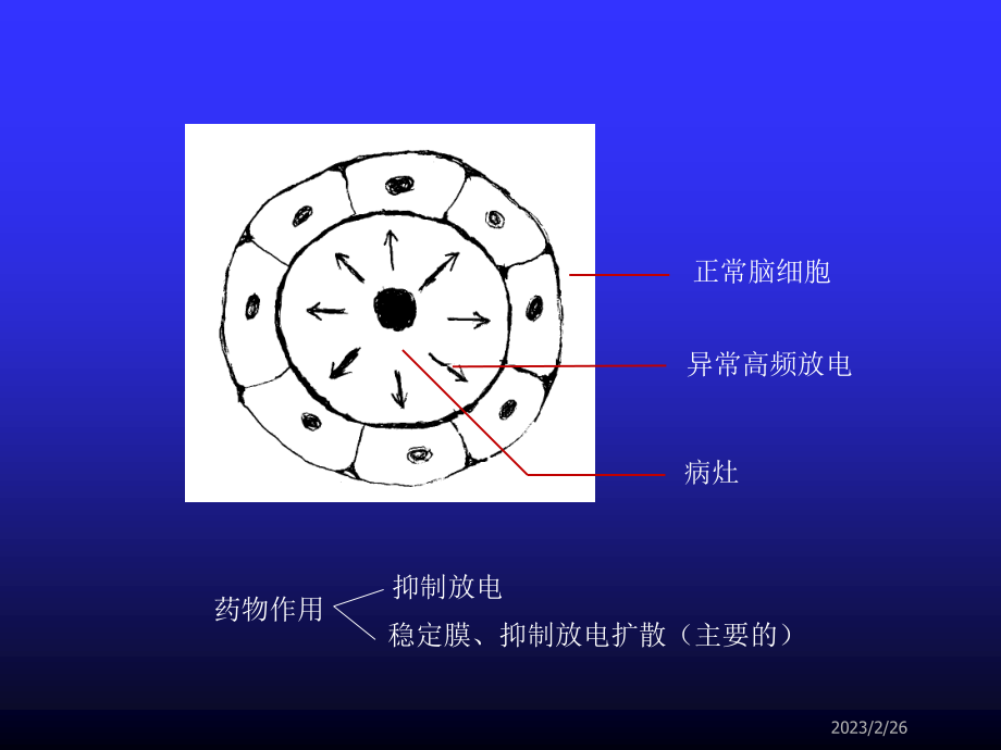 抗惊厥药——抗癫痫药.ppt_第3页