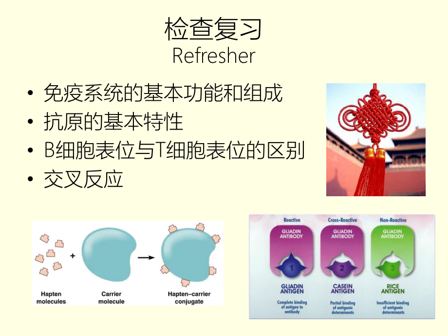 感染与免疫免疫器官-免疫细胞.pptx_第2页