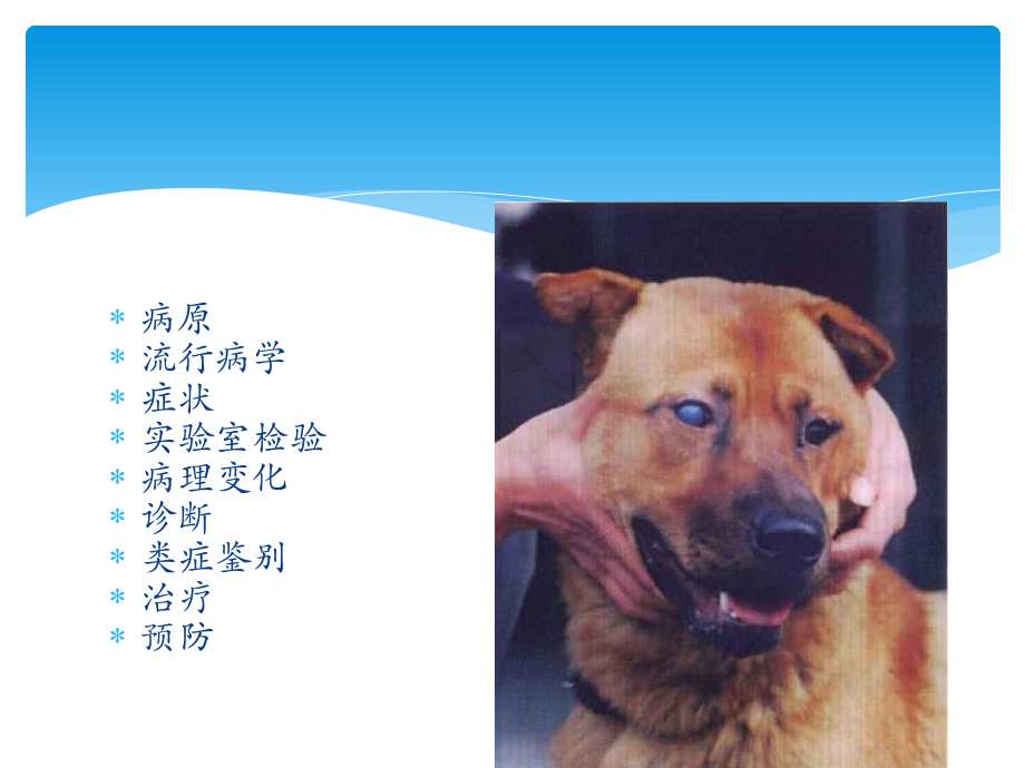 犬传染性肝炎.pptx_第3页