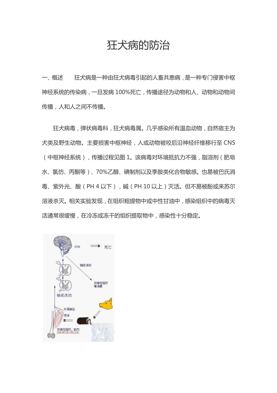 狂犬病的防治.pdf_第1页