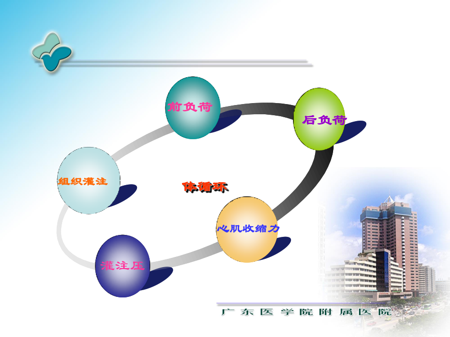 血流动力学支持.ppt_第3页