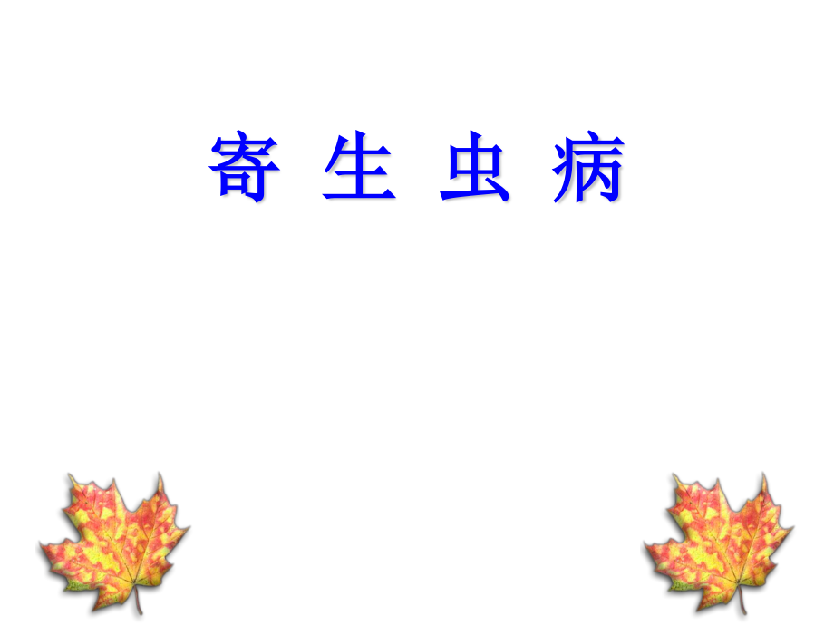 寄生虫病(13).ppt_第1页