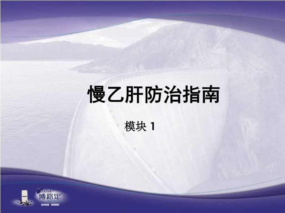 慢乙肝防治指南-1.ppt_第1页