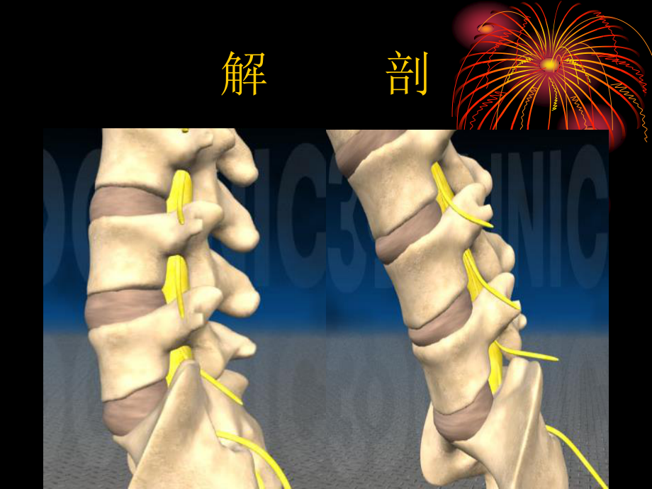 腰椎间盘突出症的诊治.ppt_第2页