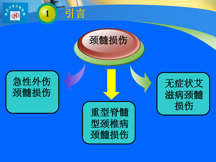 扩散张量成像在脊髓损伤中的应用剖析.ppt_第3页