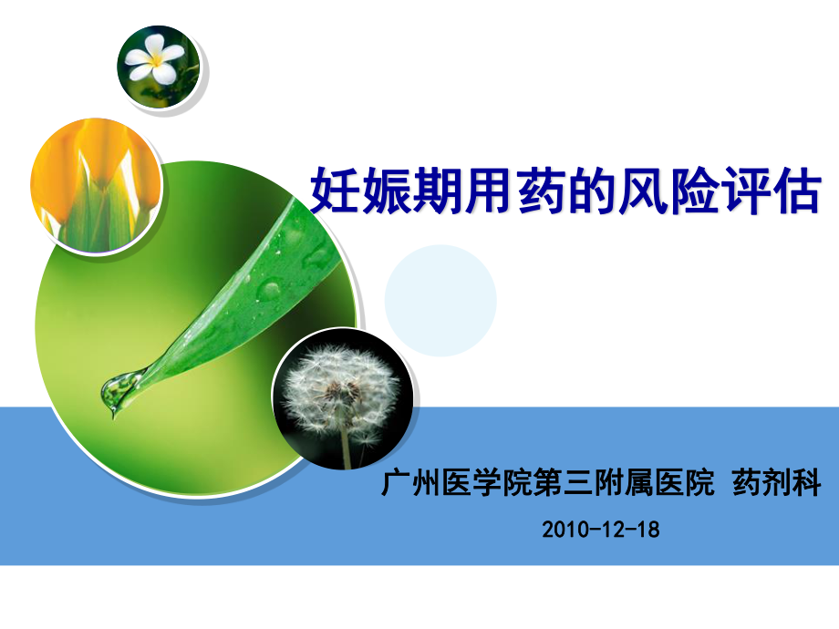 妊娠期用风险评估药.ppt_第1页