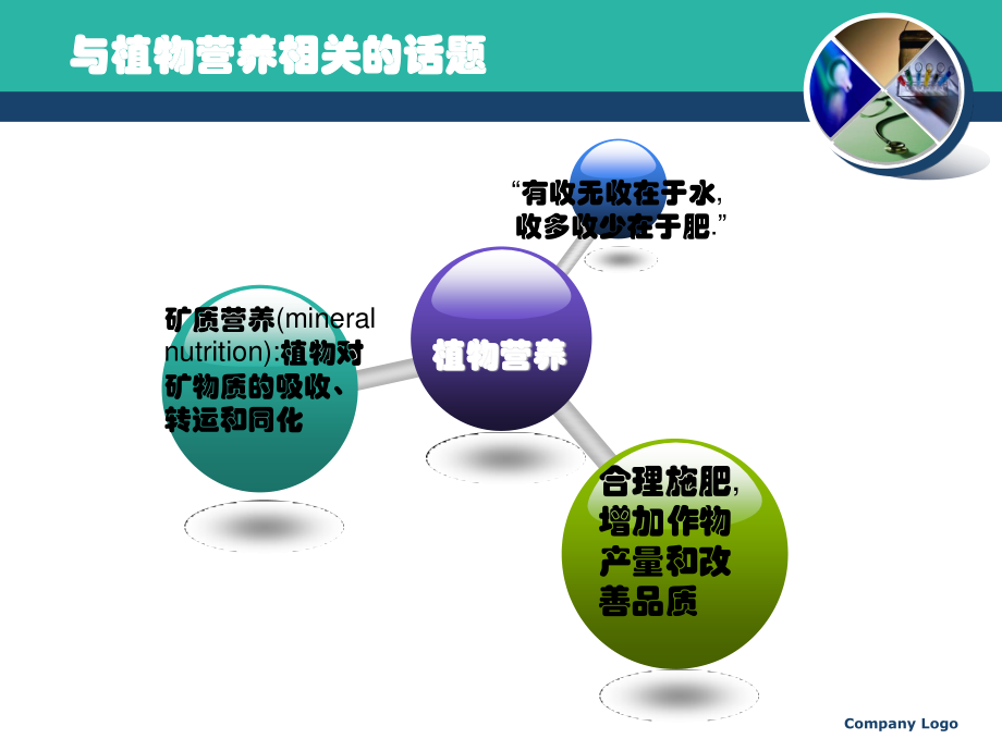 植物营养学基础知识1025.ppt_第3页