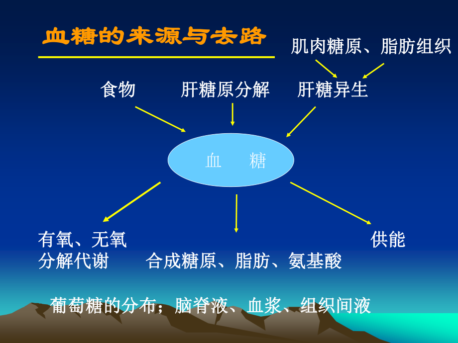 糖尿病抗体三项.ppt_第2页