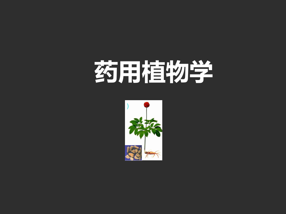 药用植物学.ppt_第1页