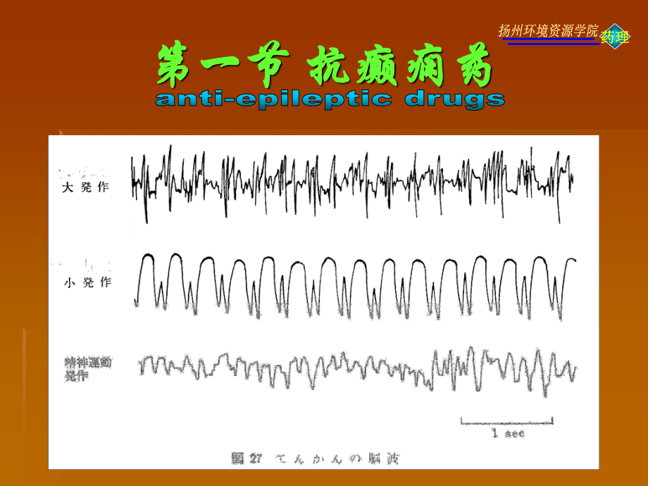 抗癫痫药与抗惊厥药.ppt_第3页