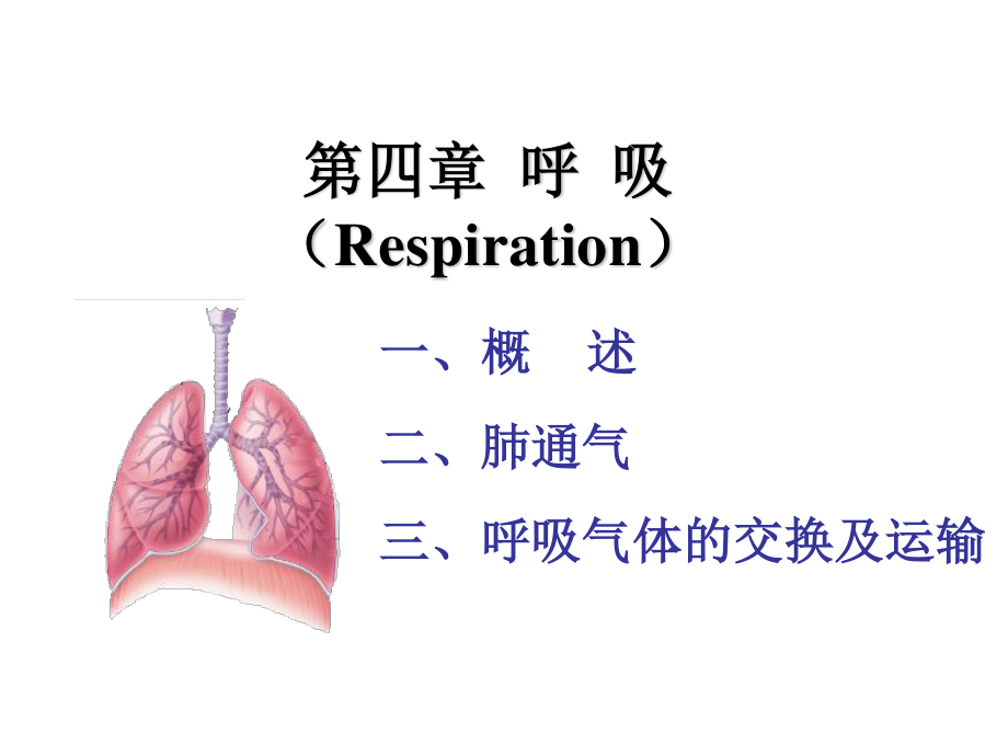 呼吸-气体交换.ppt_第1页