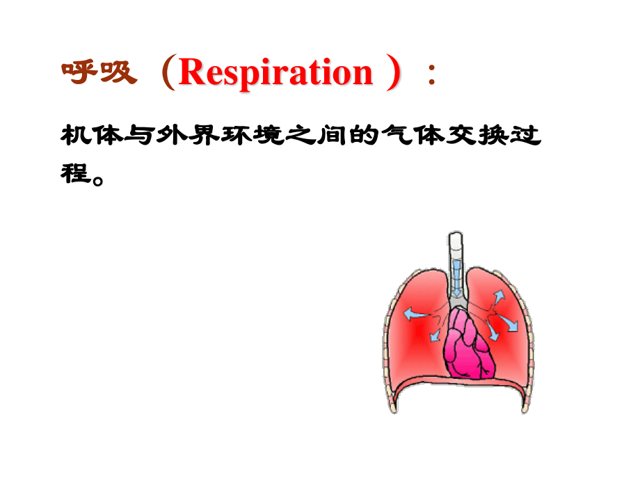 呼吸-气体交换.ppt_第3页