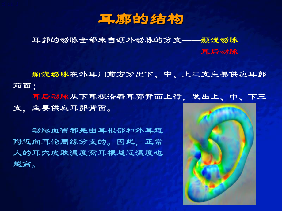 彩色耳穴实拍图-耳穴快速记忆法、定位法及各种操作方法.ppt_第3页