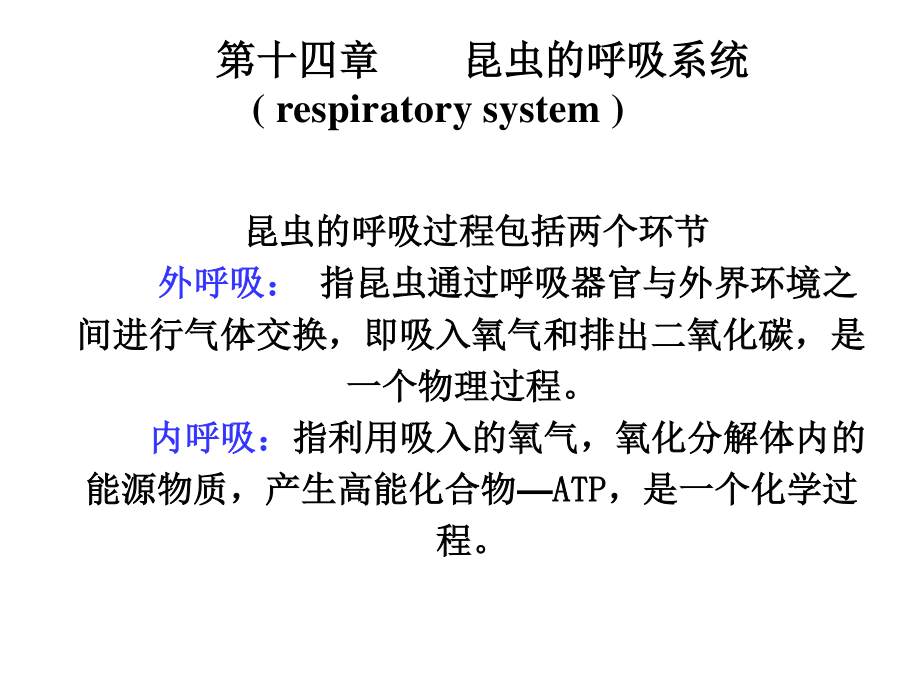 昆虫的呼吸系统1PPT.ppt_第1页