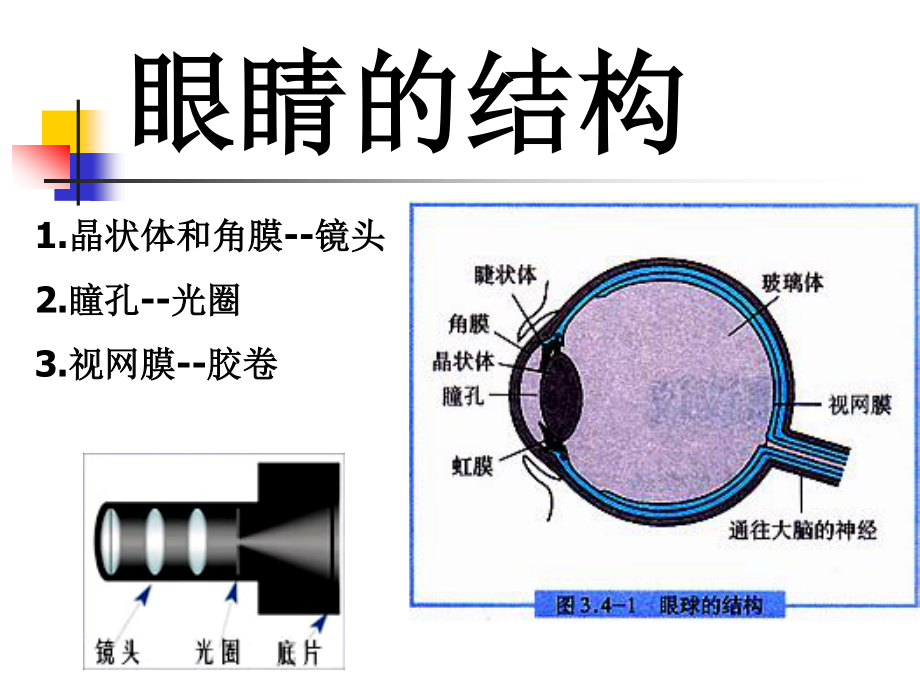 四、眼睛和眼镜.ppt_第2页