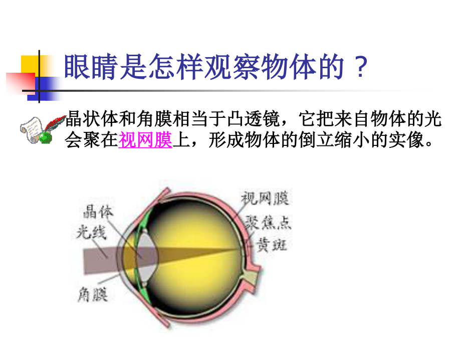 四、眼睛和眼镜.ppt_第3页