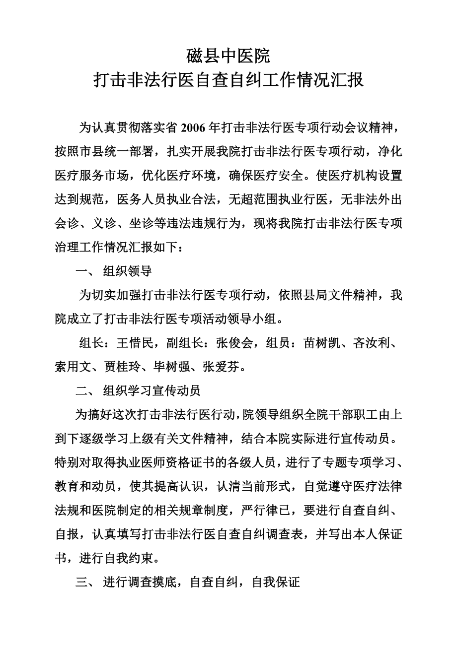 打击非法行医专项活动领导小组.doc_第2页