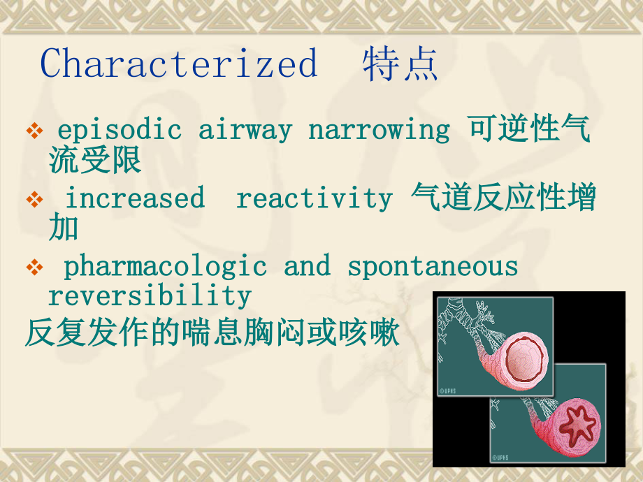 支气管哮喘的观察与...ppt_第3页