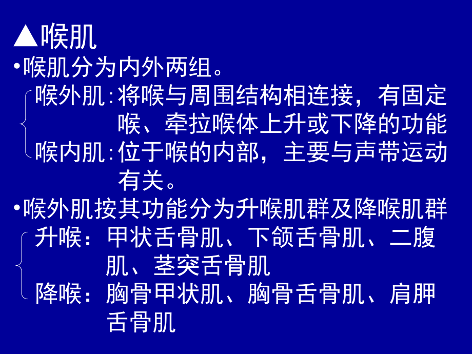 喉弹性膜此膜为一宽阔弹性组织-左右各一-被喉室分为.ppt_第3页