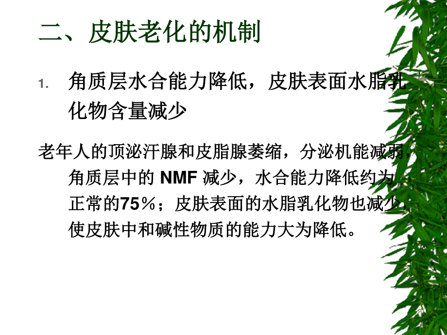 延缓皮肤老化药.ppt_第3页