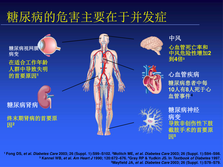 糖尿病基本用药(1).ppt_第3页