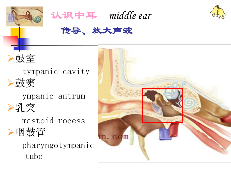 慢性中耳病变诊治策略.ppt_第3页