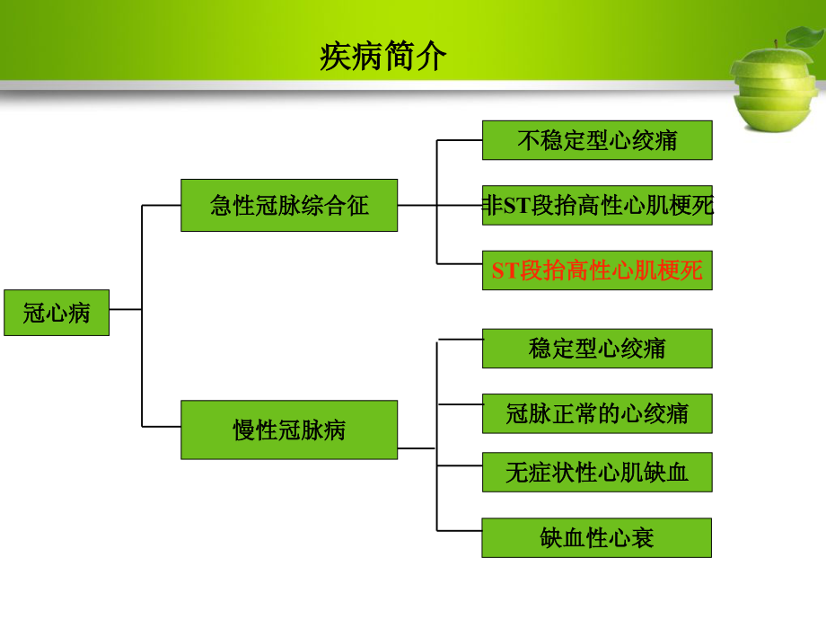 药历介绍模板.pdf_第2页