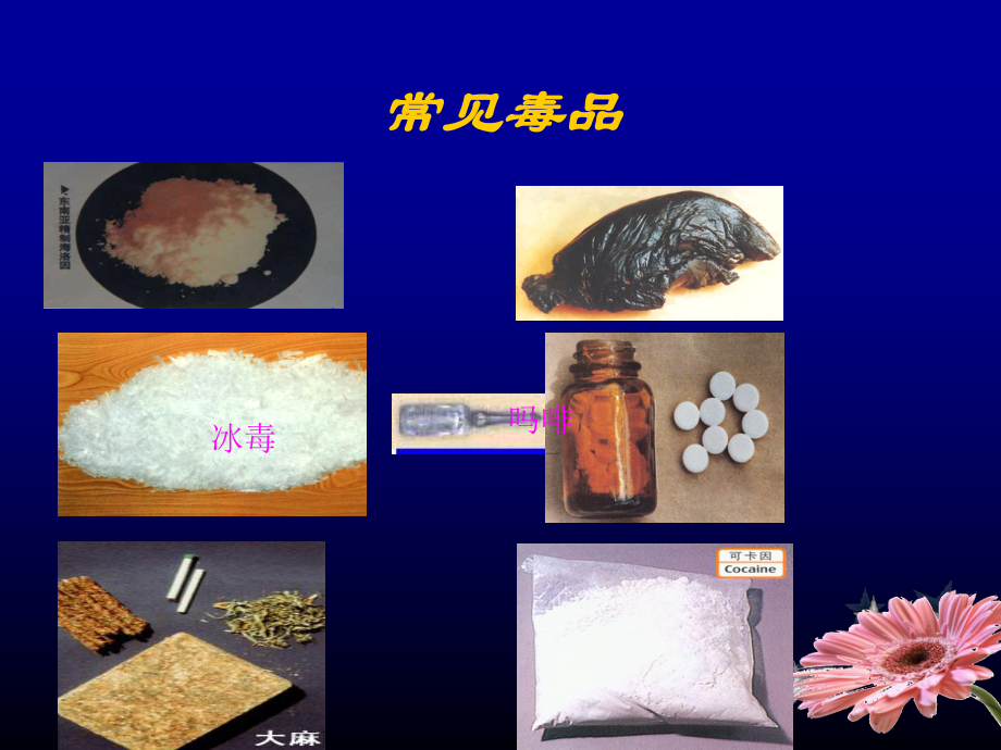 毒品中毒[1].ppt_第3页