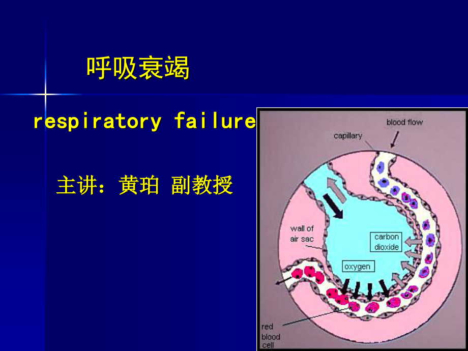 呼吸衰竭、ARDS.ppt_第1页