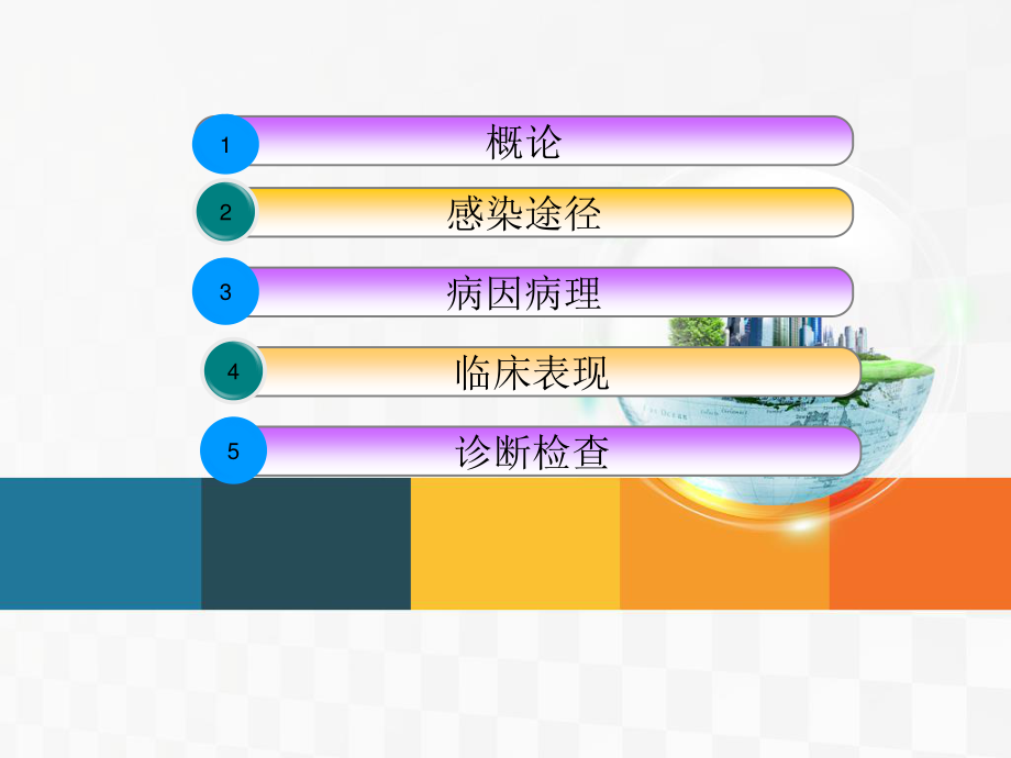 查房泌尿系结核.ppt_第2页