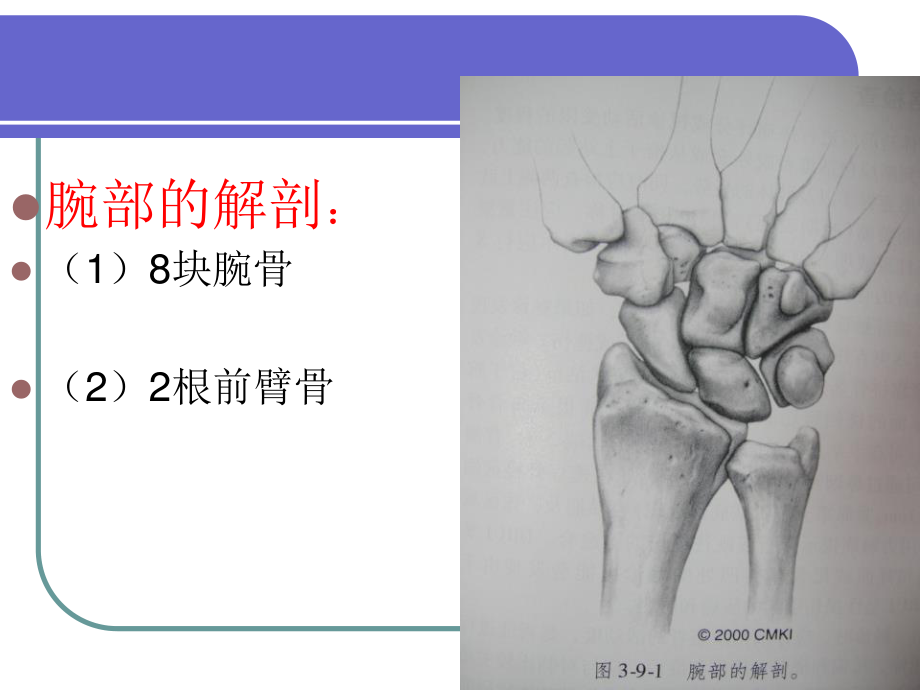 桡骨远端骨折(ppt)分析.ppt_第3页