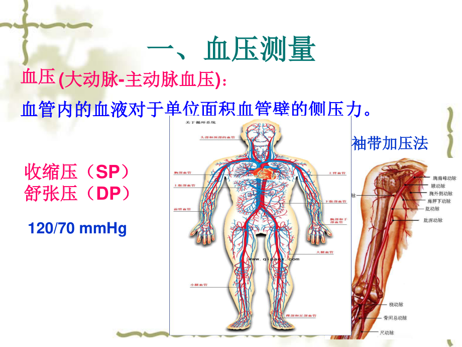 急救-血压测量、AED、异物处理模板.ppt_第2页